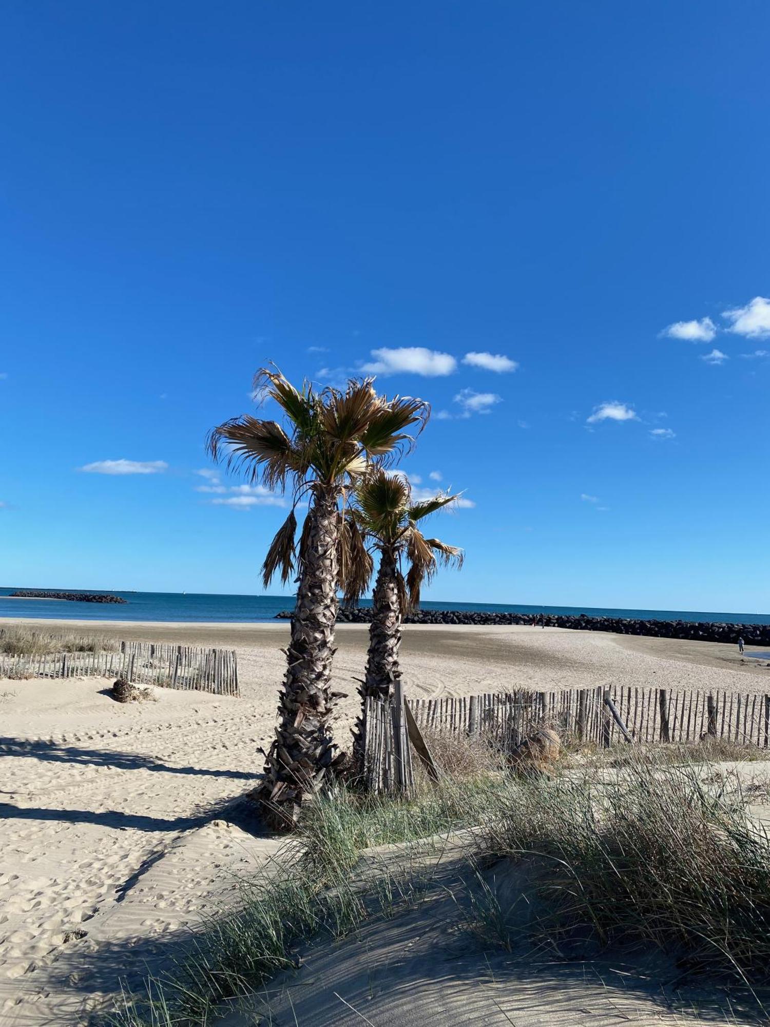 Appart - T3 - 6 Personnes - Golf Cap D'Agde Kültér fotó